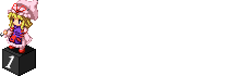 access counter